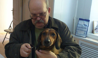 Ветеринарная клиника «Vivo+» Ветеринарная клиника «Vivo+»