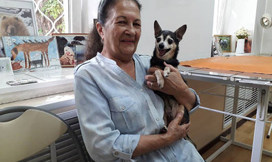 Ветеринарная клиника «Vivo+» Ветеринарная клиника «Vivo+»