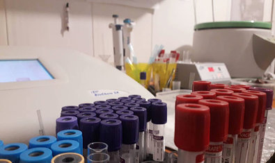 Ветеринарная клиника «Vivo+» Ветеринарная клиника «Vivo+»