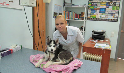 Ветеринарная клиника «Зоодоктор» Ветеринарная клиника «Зоодоктор»