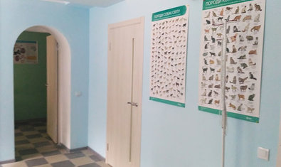 Ветеринарная клиника «Зоодоктор»