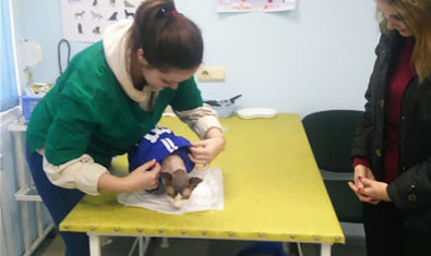 Ветеринарная клиника «Зоодоктор»