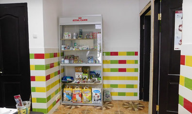 Ветеринарная клиника «Vet City»