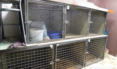 Ветеринарная клиника «Vet City»