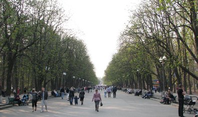 Центральная аллея, Парк Горького до Реконструкции Центральная аллея, Парк Горького до Реконструкции