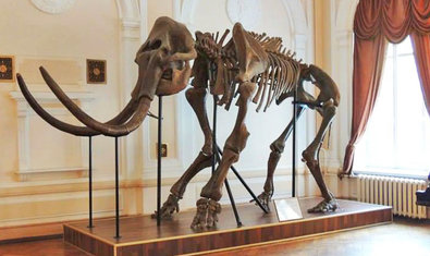 Музей природы Каразинского университета Музей природы Каразинского университета