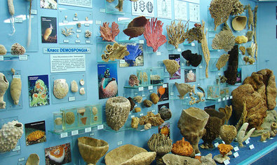 Музей природы Каразинского университета Музей природы Каразинского университета
