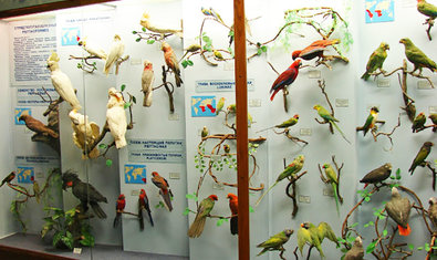 Музей природы Каразинского университета Музей природы Каразинского университета