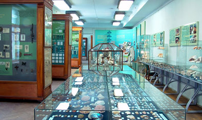 Музей природы Каразинского университета Музей природы Каразинского университета