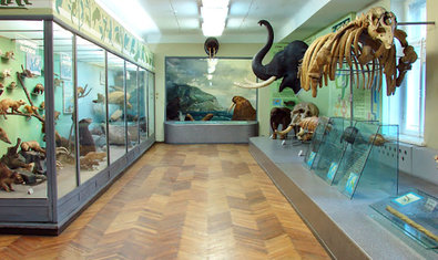 Музей природы Каразинского университета Музей природы Каразинского университета