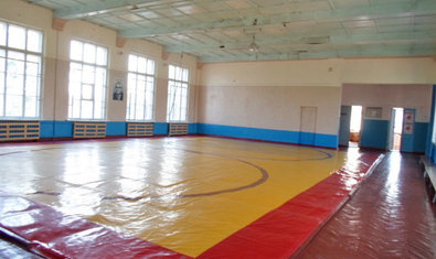 Комплексная детско-юношеская спортивная школа №11 Комплексная детско-юношеская спортивная школа №11