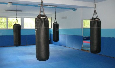 Комплексная детско-юношеская спортивная школа №12 Комплексная детско-юношеская спортивная школа №12