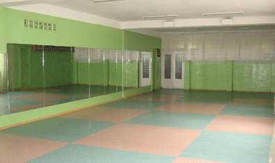 Комплексная детско-юношеская спортивная школа №12 Комплексная детско-юношеская спортивная школа №12