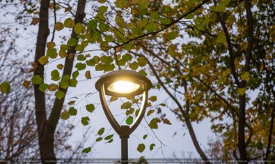 Парк «Зелёный Гай» Парк «Зелёный Гай»