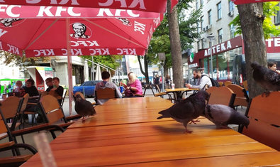 Ресторан «KFC» Ресторан «KFC»