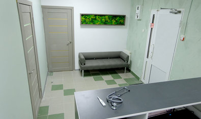 Ветеринарная клиника Доктор Вет на Северной салтовке Ветеринарная клиника Доктор Вет на Северной салтовке