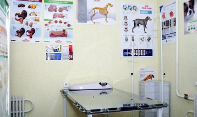 Ветеринарная клиника «Ветеринарный Домик»
