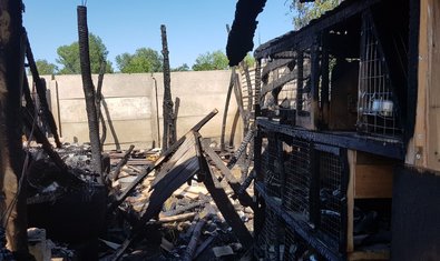 Дергачевский район: пожарные оперативно ликвидировали пожар на территории частного домовладения