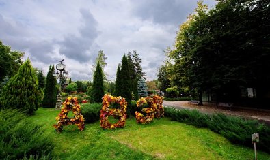 Фельдман Экопарк приглашает на юбилейный, 10-й «Бал хризантем»