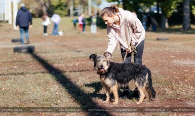 В городском приюте отметили годовщину открытия pets-friendly контакт-центра