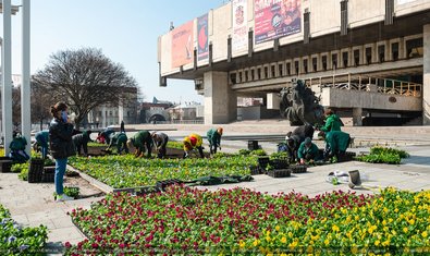 В Харькове начали высадку цветов