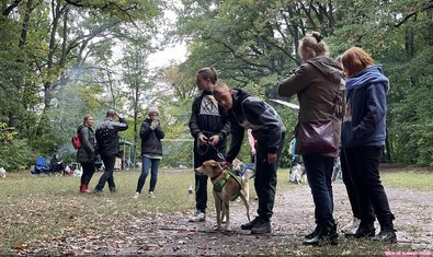 В Харькове прошли соревнования по ездовому спорту