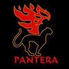 Огненное шоу «FireShow PANTERA» Огненное шоу «FireShow PANTERA»