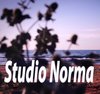 Видеосъемка «Studio Norma» Видеосъемка «Studio Norma»