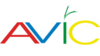 Интернет-магазин «AVIC» Интернет-магазин «AVIC»