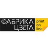 Типография «Фабрика Цвета»