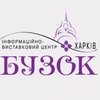 Информационно-выставочный центр «Бузок» (Правое крыло ХНАТОБа)