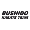 Бушидо Харьков, спортивный клуб каратэ