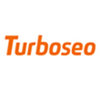 Продвижение и раскрутка сайтов «TurboSEO»