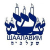 Частный лицей Шаалавим