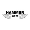 Hammer Gym, фитнес-центр